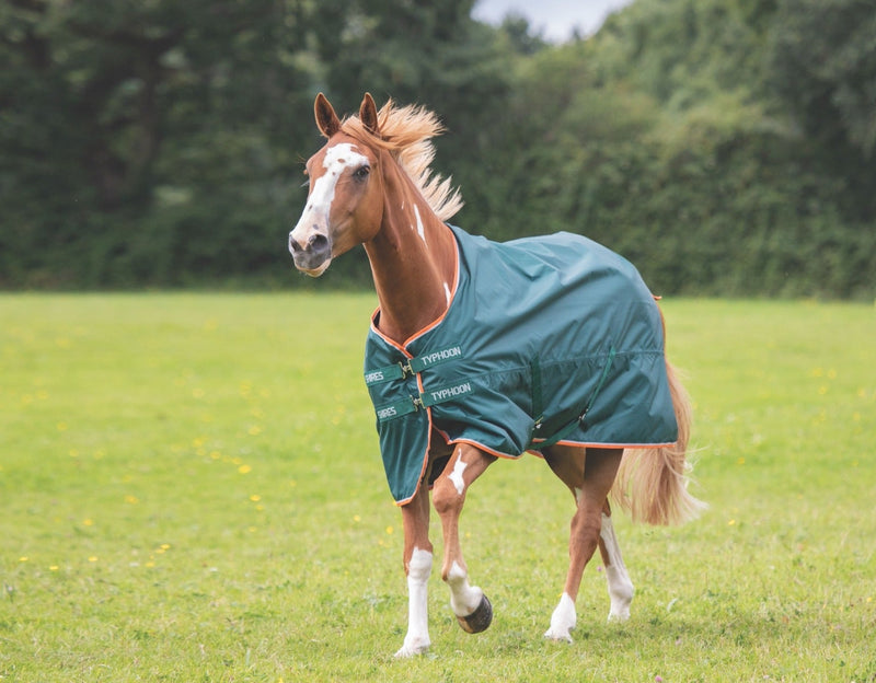 Typhoon Lite Turnout Rug - Nags Essentials