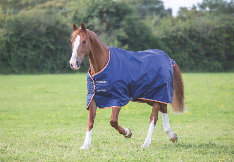 Typhoon 100 Turnout Rug - Nags Essentials