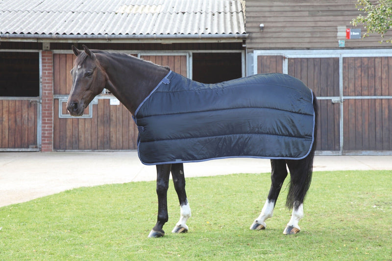 Tempest WarmaRug 200 Turnout Rug Liner