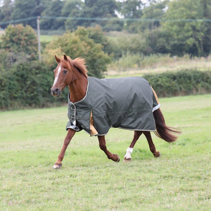 Highlander Plus 50 Turnout Rug