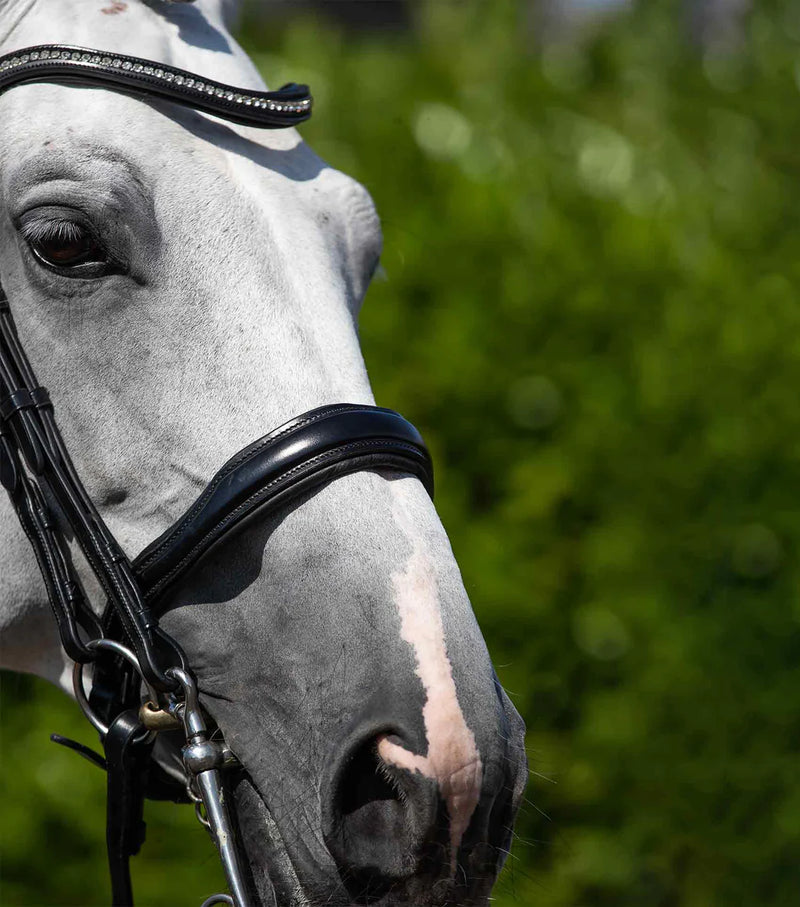 Premier Equine Abriano Anatomic Double Bridle Black