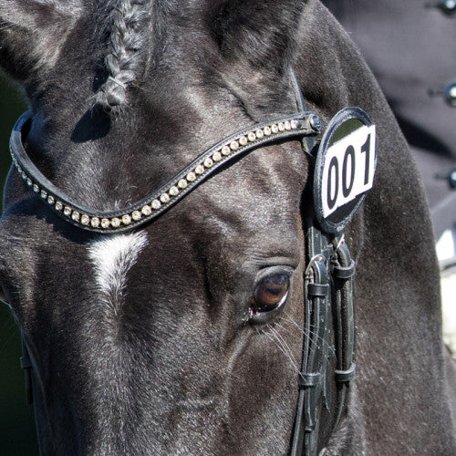 Bridle Dressage Numbers - Pairs