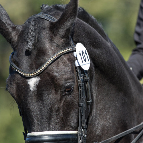 Bridle Dressage Numbers - Pairs