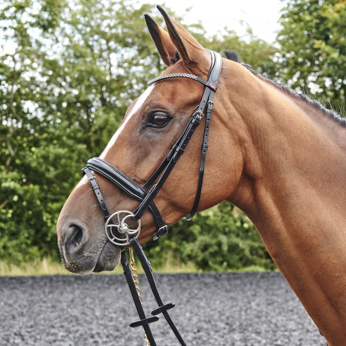 Whitaker Barton Bling Flash Bridle