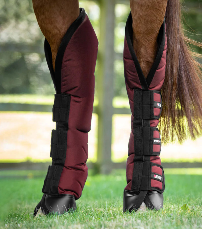 Premier Equine Ballistic Knee Pro-Tech Horse Travel Boots