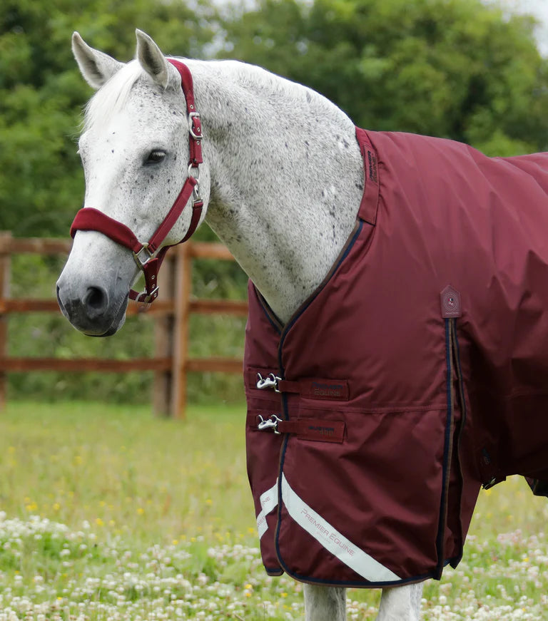 Premier Equine Buster 400g Turnout Rug with Snug Fit Neck Cover