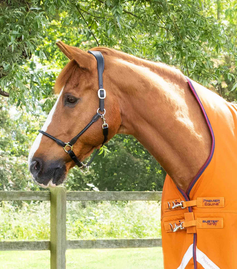 Premier Equine Buster Hardy 200g Half Neck Turnout Rug