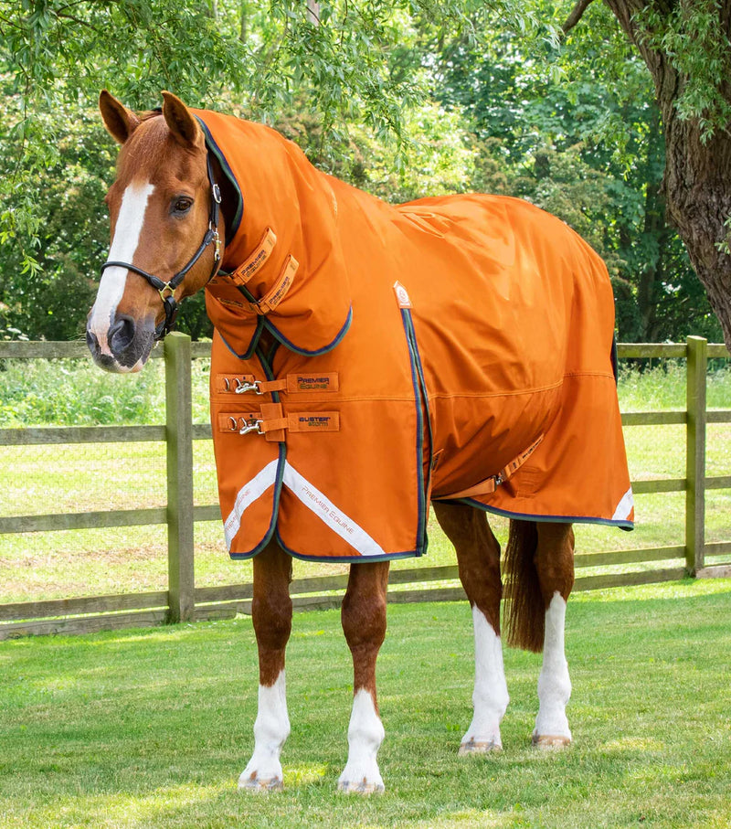 Premier Equine Buster Storm 400g Combo Turnout Rug with Classic Neck Cover