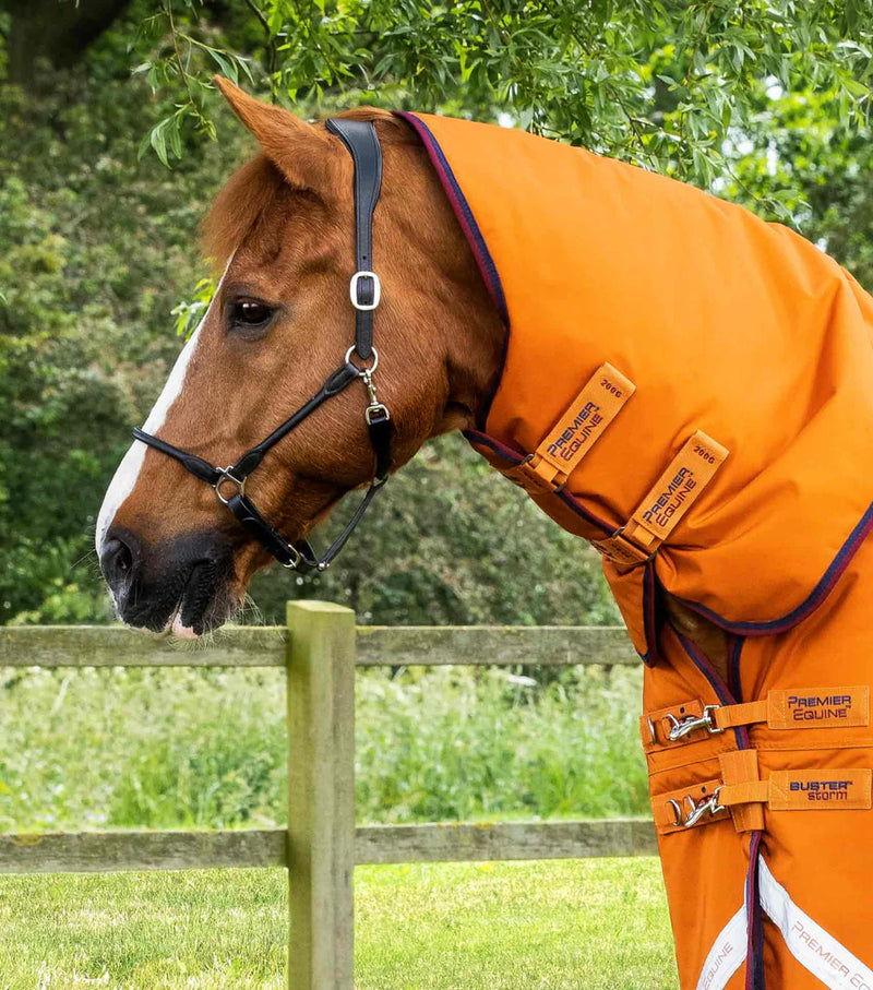 Premier Equine Buster Storm 200g Combo Turnout Rug with Classic Neck Cover