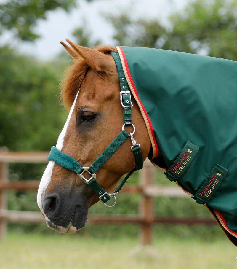 Premier Equine Buster Zero Turnout Rug with Classic Neck Cover