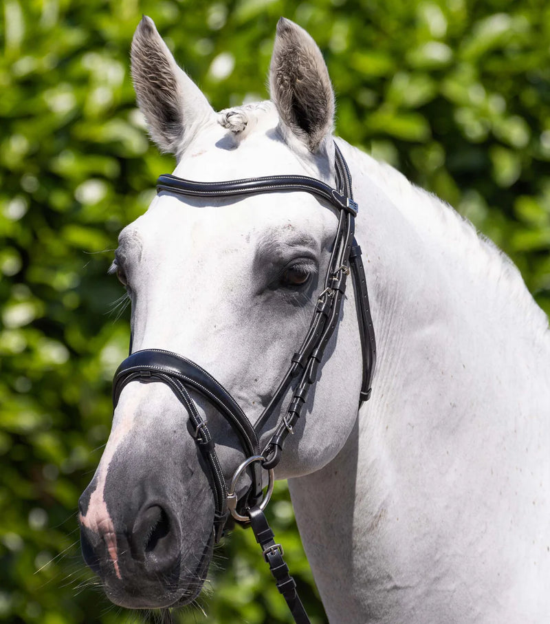 Premier Equine Cassano Snaffle Bridle