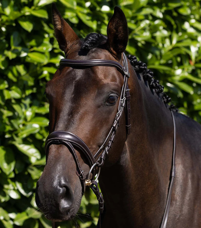 Premier Equine Cassano Snaffle Bridle