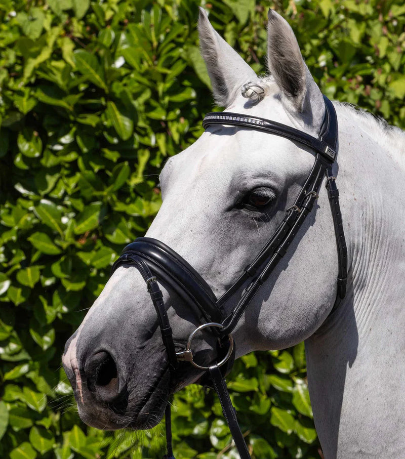 Premier Equine Castello Anatomical Bridle