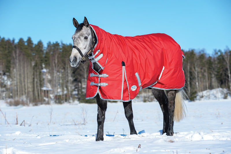 Weatherbeeta Comfitec Classic Combo Heavy Turnout Rug (300g)