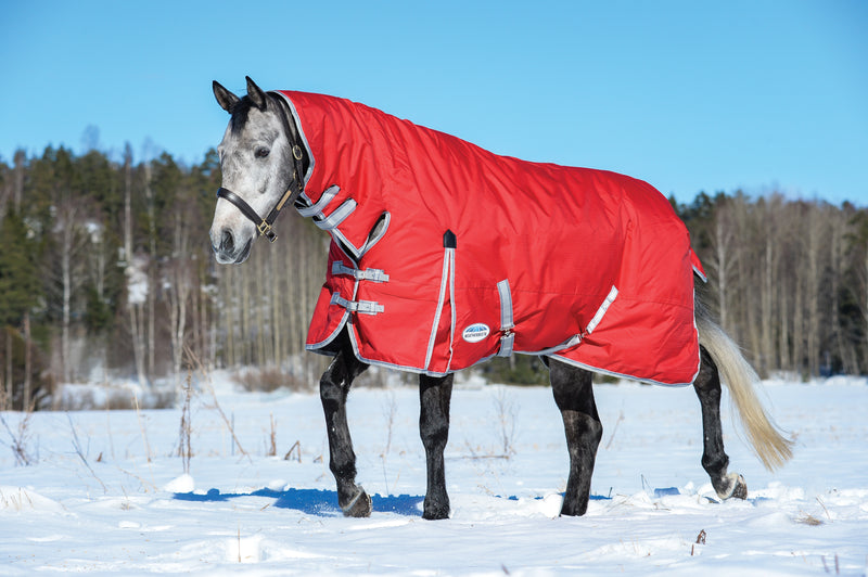 Weatherbeeta Comfitec Classic Combo Heavy Turnout Rug (300g)