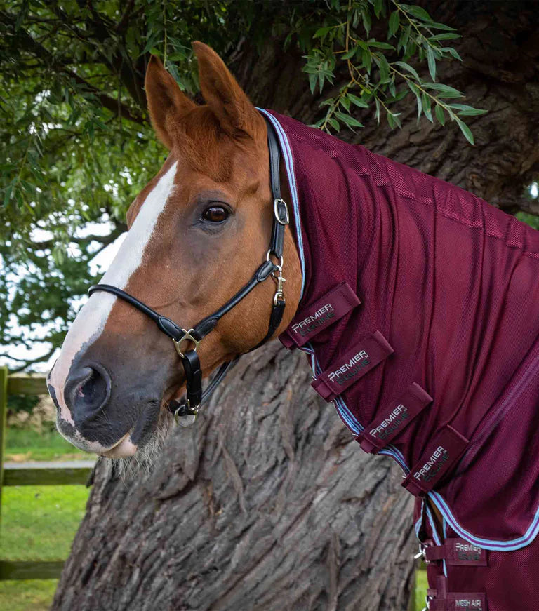 Premier Equine Combo Mesh Air Fly Rug with Surcingles