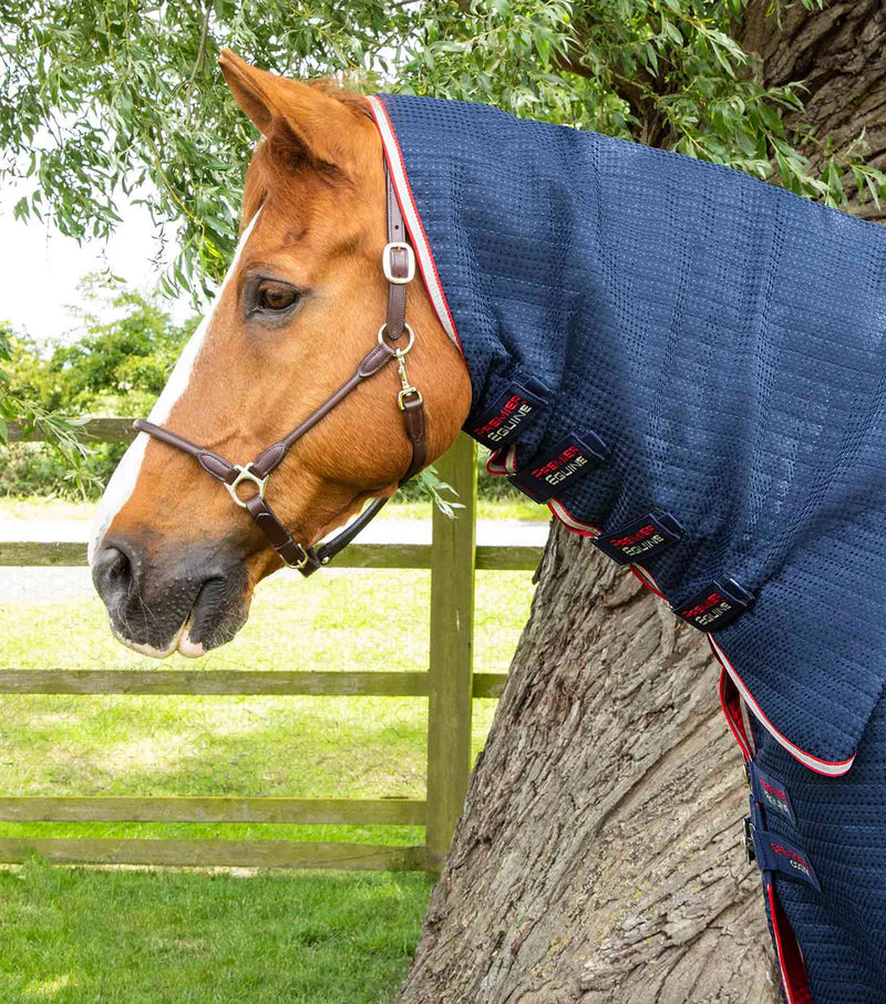 Premier Equine Combo Dry-Tech Horse Cooler Rug