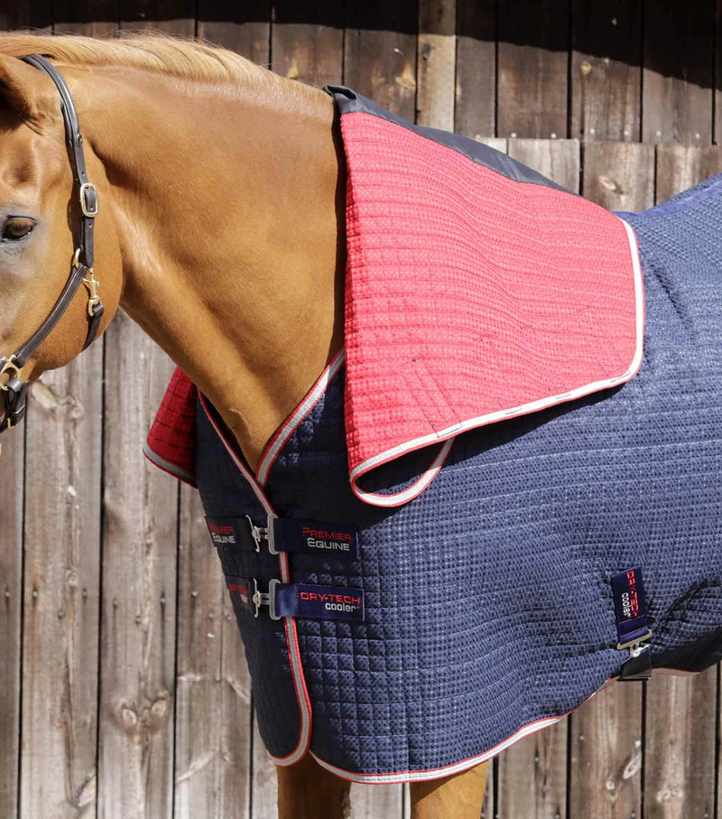 Premier Equine Combo Dry-Tech Horse Cooler Rug