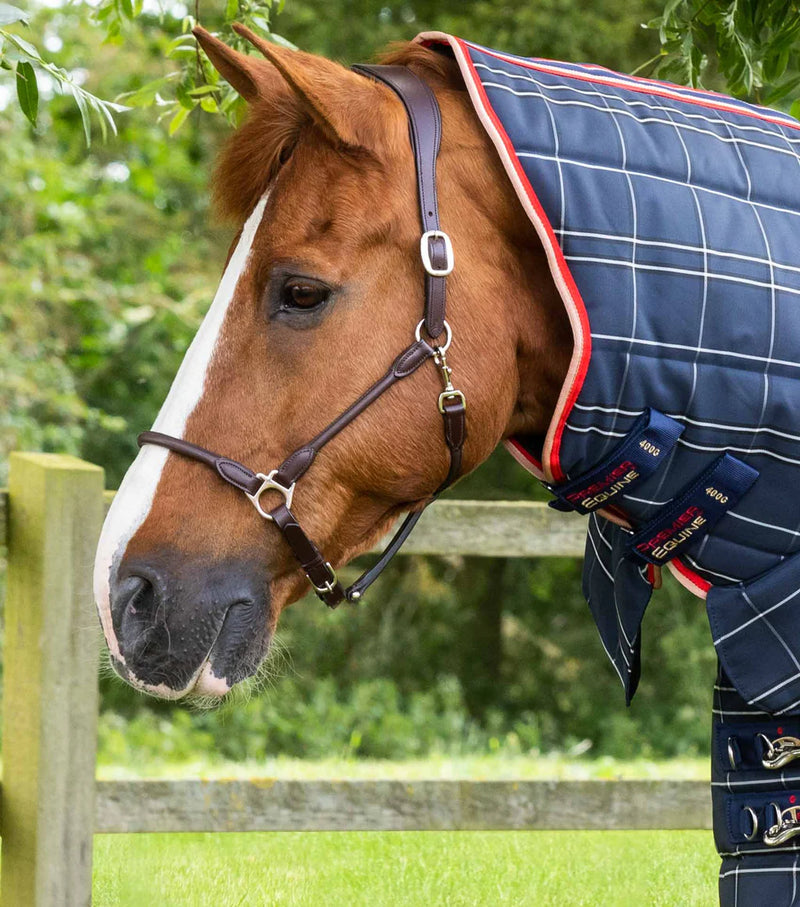 Premier Equine Domus 400g Stable Rug