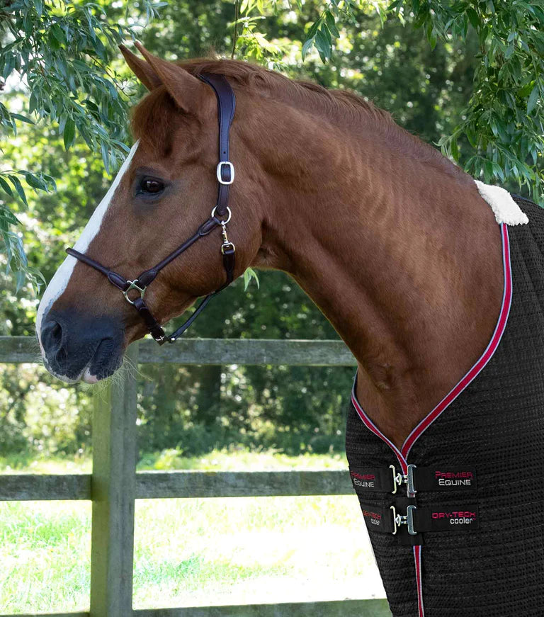 Premier Equine Dry-Tech Horse Cooler Rug