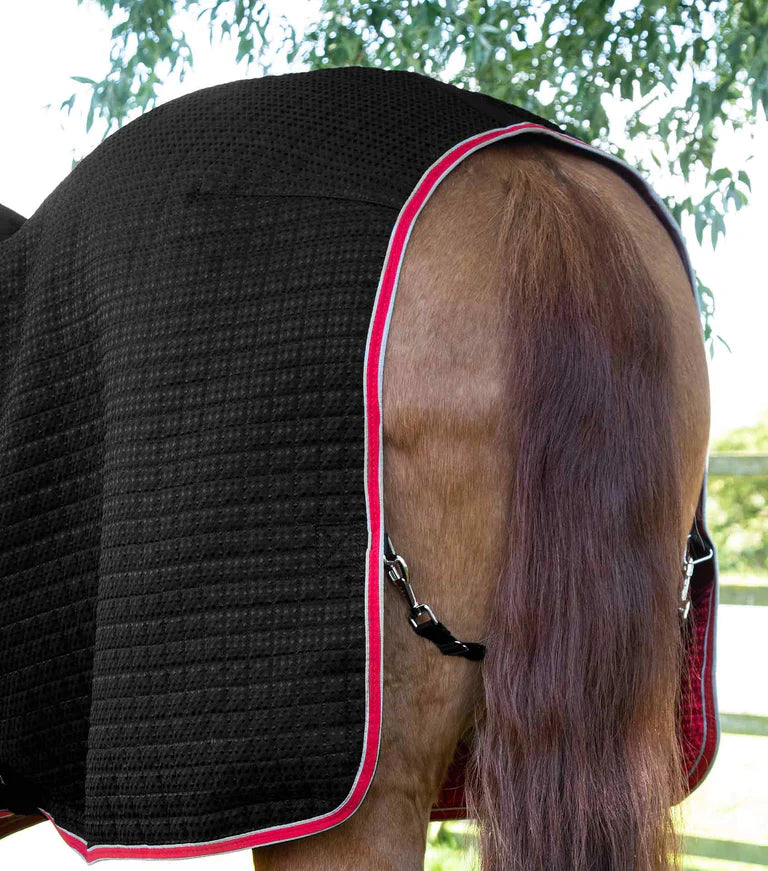 Premier Equine Dry-Tech Horse Cooler Rug