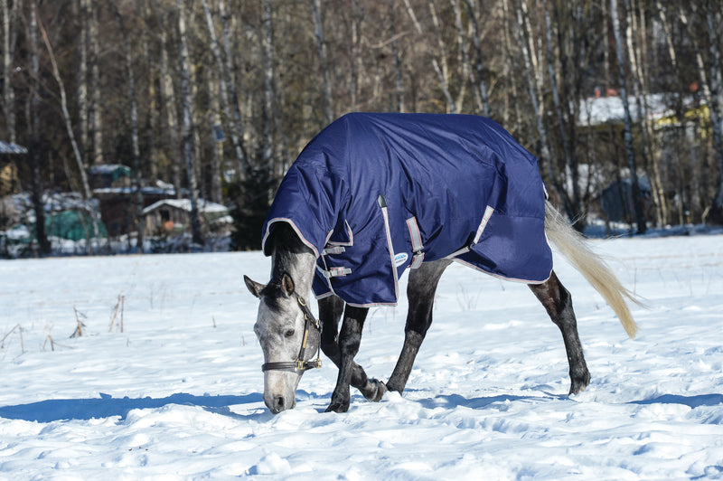 Weatherbeeta Comfitec Essential Combo Neck Heavy Turnout Rug (360g)