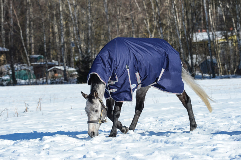 Weatherbeeta Comfitec Essential Combo Medium Turnout Rug (220g)