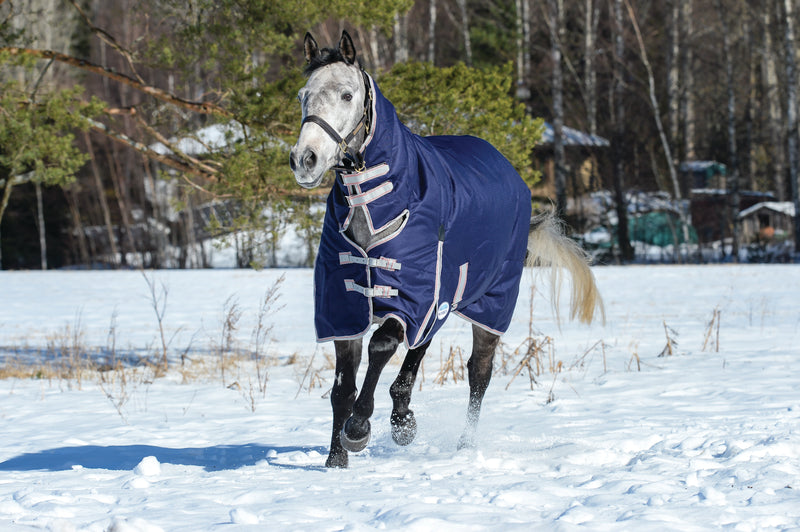 Weatherbeeta Comfitec Essential Combo Neck Heavy Turnout Rug (360g)