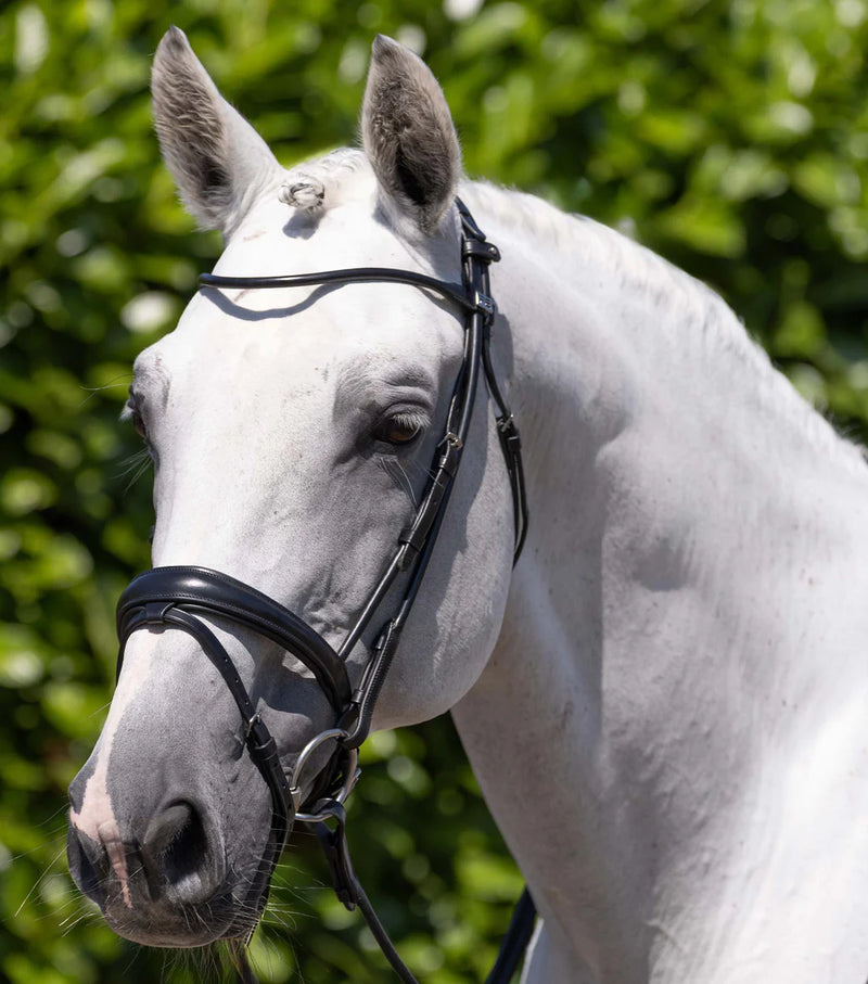 Premier Equine Finetti Rolled Leather Snaffle Bridle