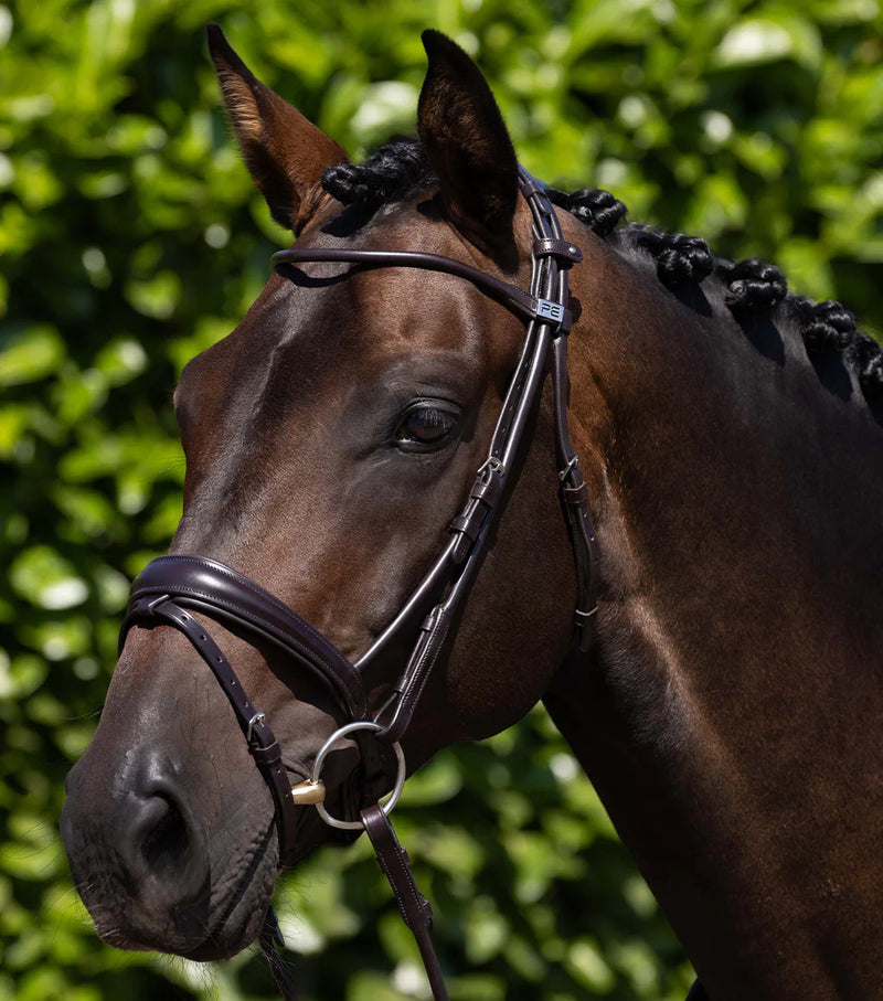 Premier Equine Finetti Rolled Leather Snaffle Bridle