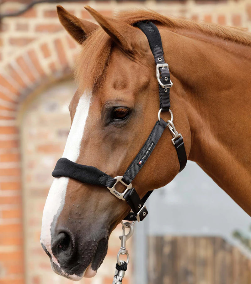 Premier Equine Fleece Padded Horse Head Collar