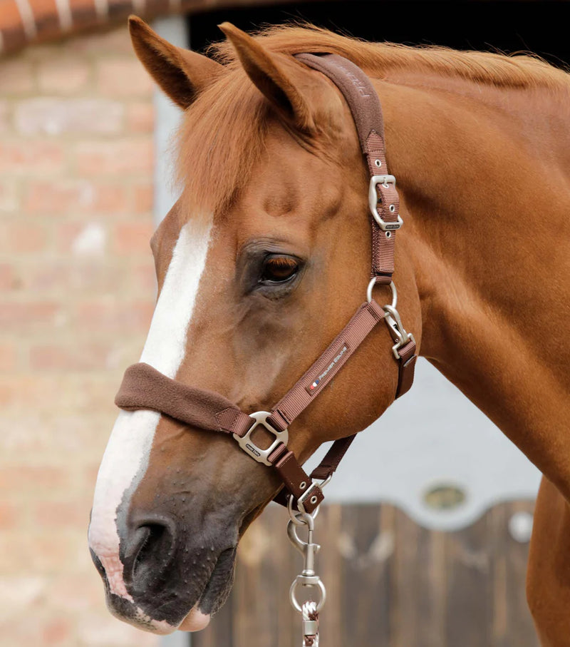 Premier Equine Fleece Padded Horse Head Collar