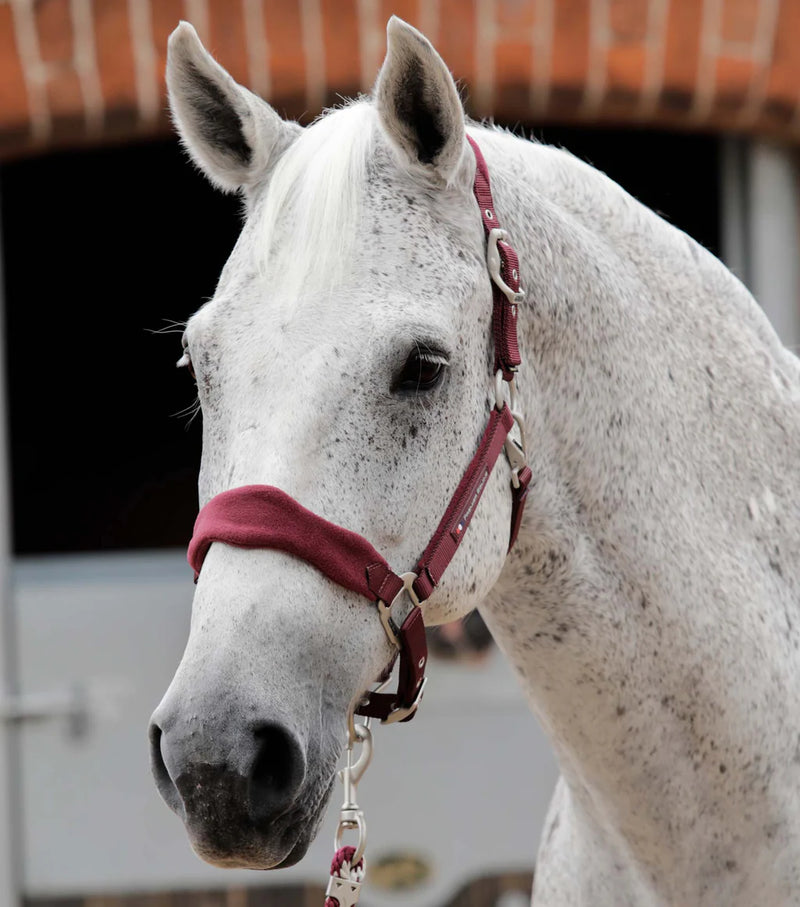 Premier Equine Fleece Padded Horse Head Collar