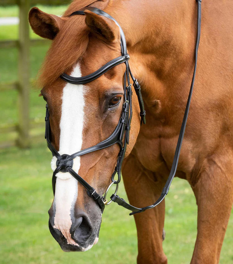 Premier Equine Glorioso Grackle Bridle Black