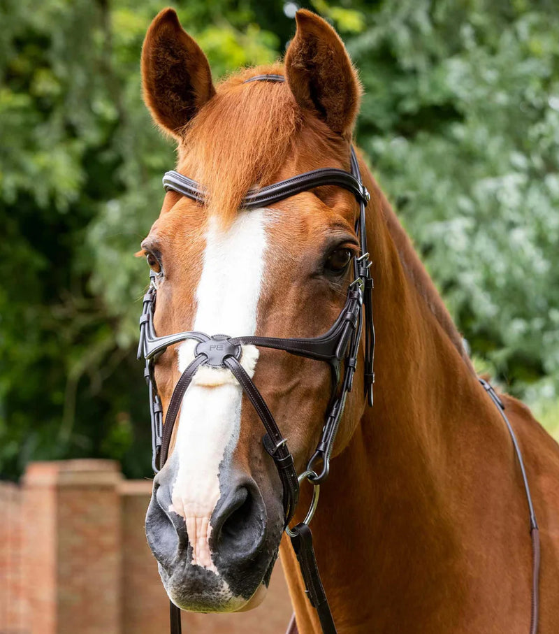 Premier Equine Glorioso Grackle Bridle Black