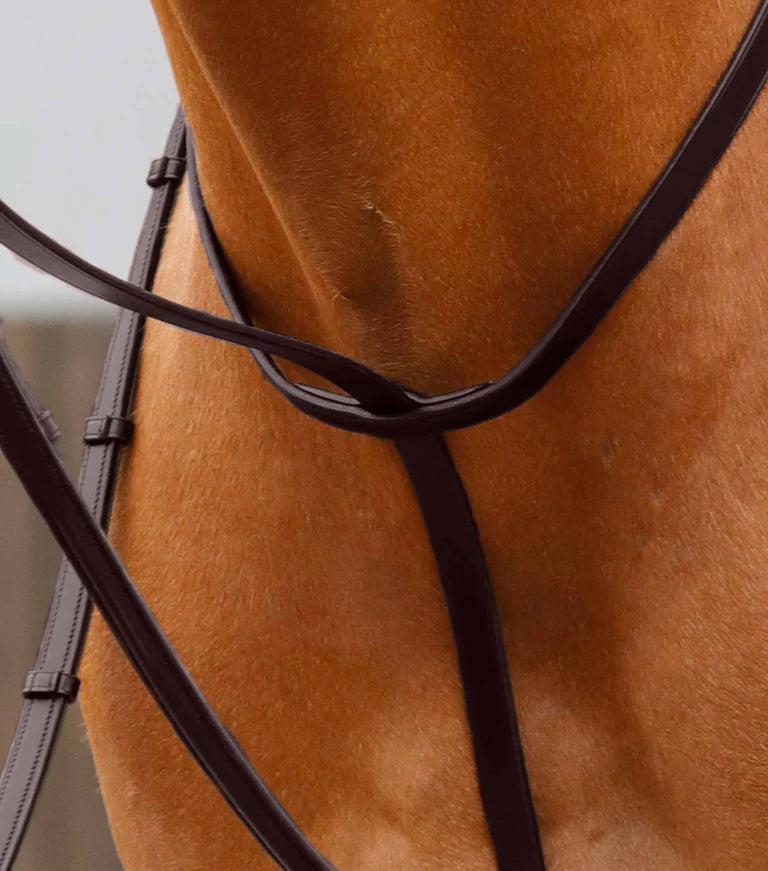 Premier Equine Gressan Standing Martingale