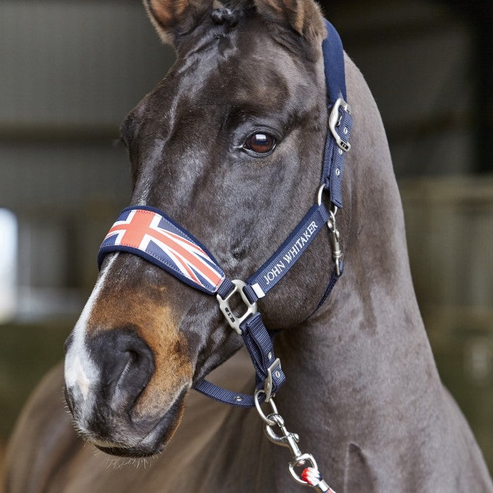 Whitaker Union Jack Headcollar