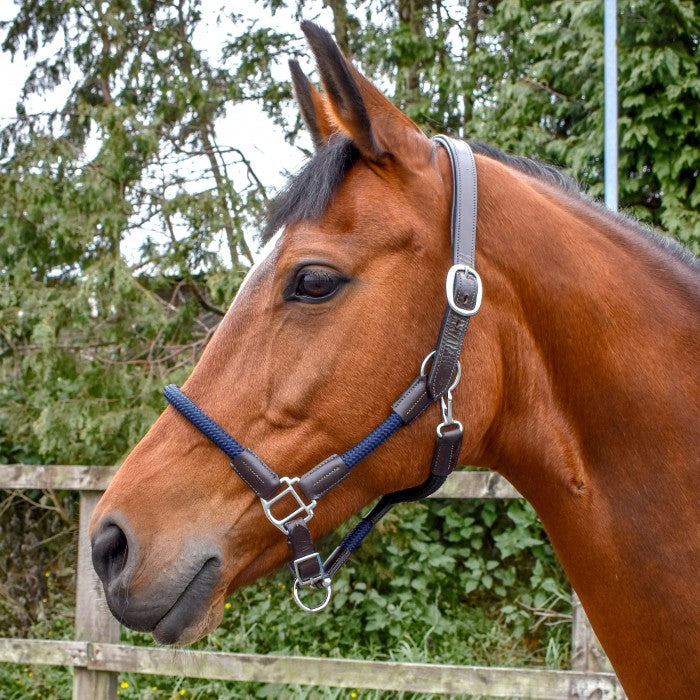 Whitaker Raywell Soft Rope Headcollar