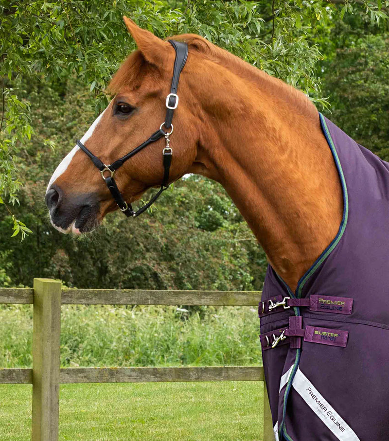 Premier Equine Buster Hardy 100g Half Neck Turnout Rug