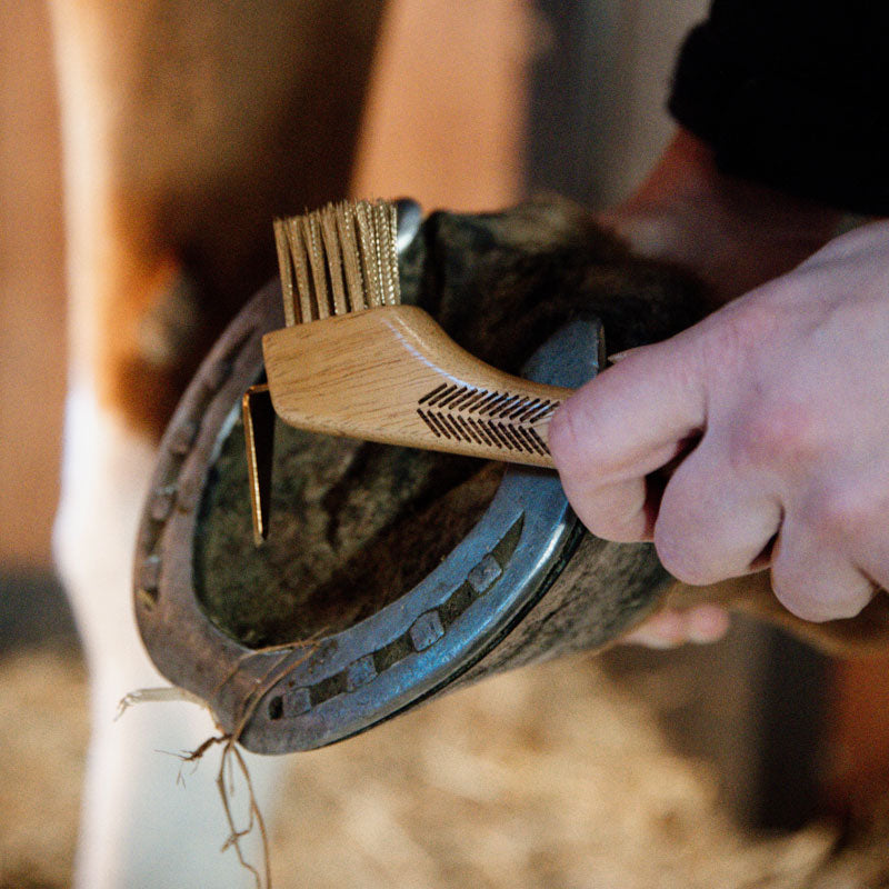 Grooming Deluxe Hoof Pick with Metal Bristle