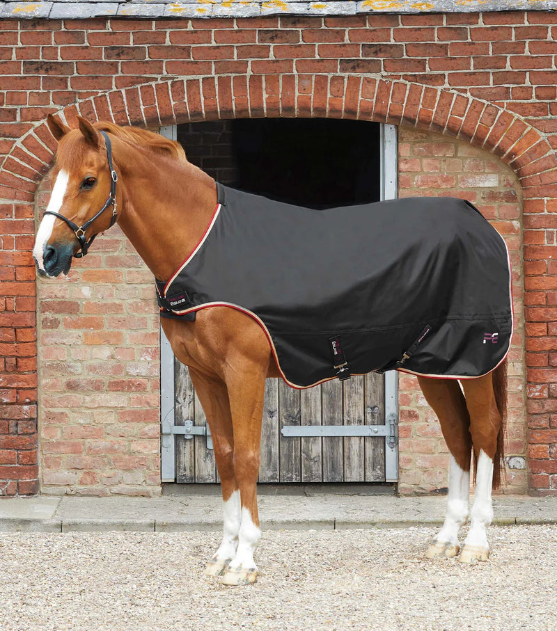 Premier Equine Horse Walker Rug 100g