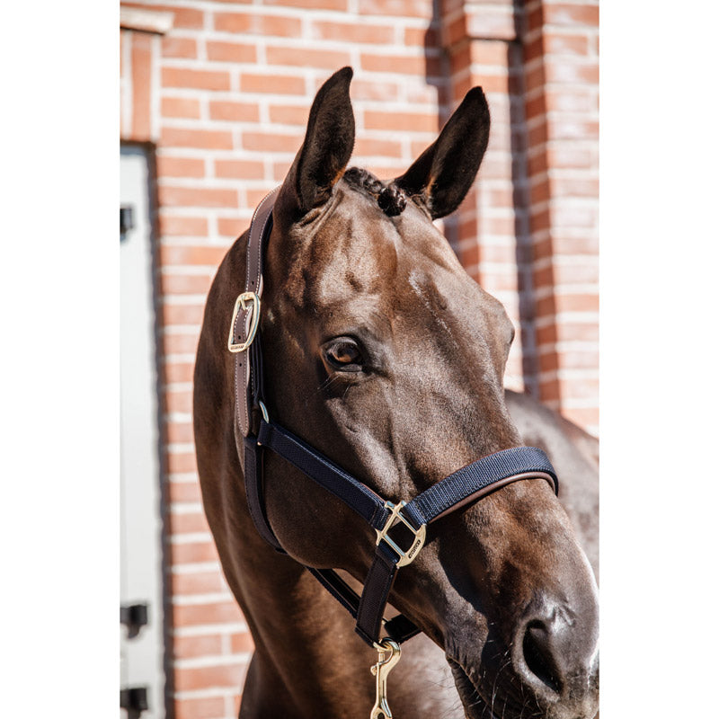 Kentucky Anatomic Nylon Headcollar Navy