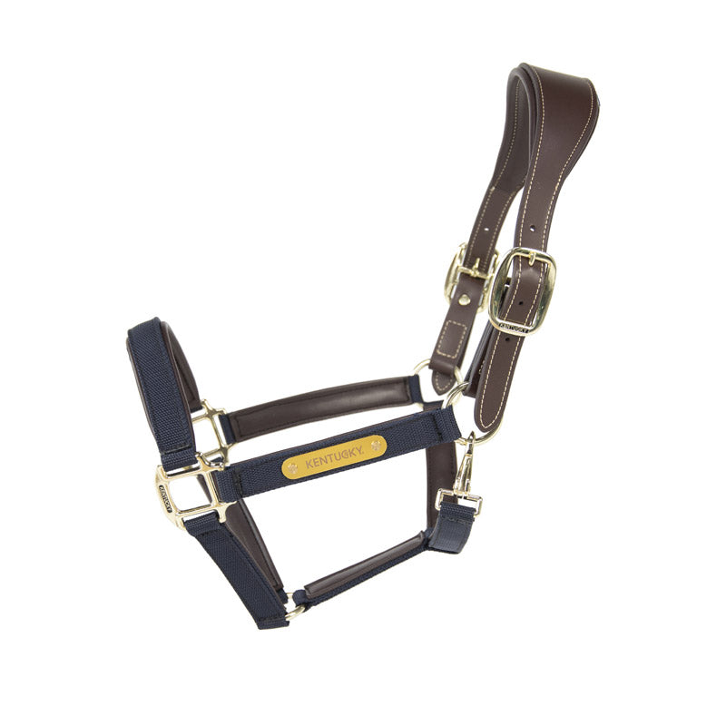 Kentucky Anatomic Nylon Headcollar Navy