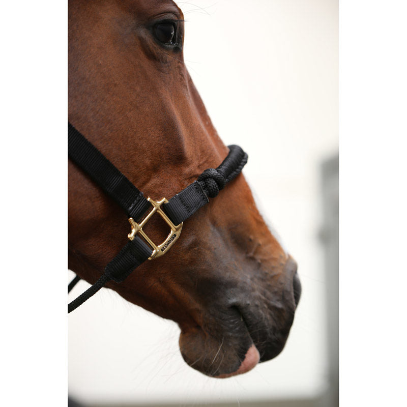 Kentucky Horsewear Controller Head Collar