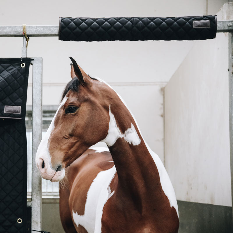 Kentucky Stable Head Protector