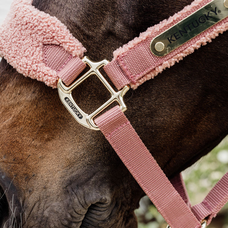 Kentucky Teddy Fleece Head Collar