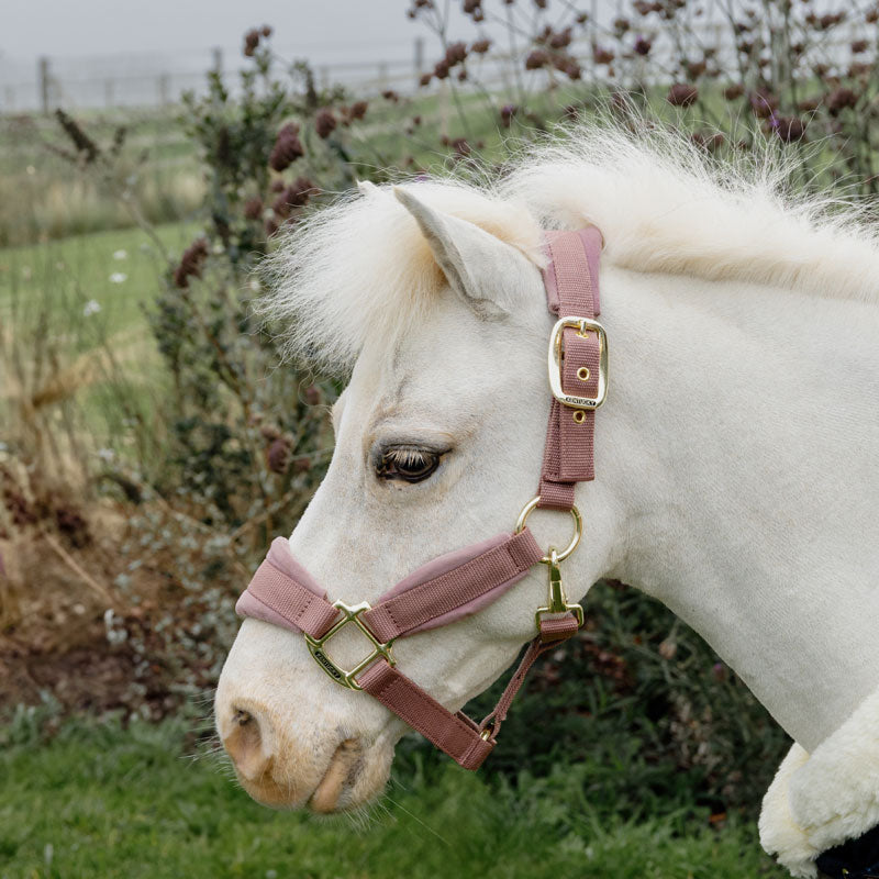 Kentucky Velvet Head Collar Pony & Shetland