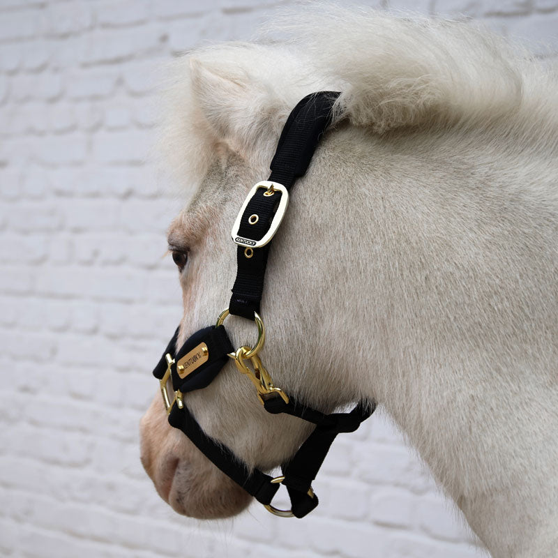 Kentucky Velvet Head Collar Pony & Shetland