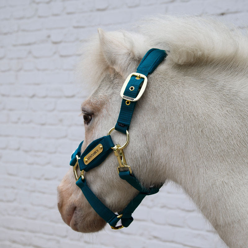 Kentucky Velvet Head Collar Pony & Shetland