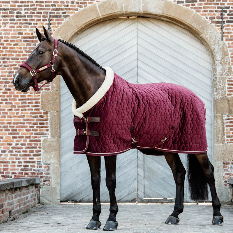 Kentucky Velvet Show Rug